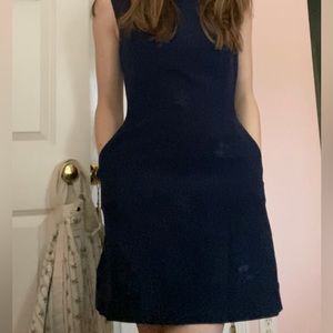 Navy a line embroidered dress